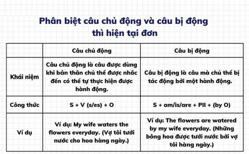 Phân biệt câu chủ động thì hiện tại đơn và câu bị động thì hiện tại đơn