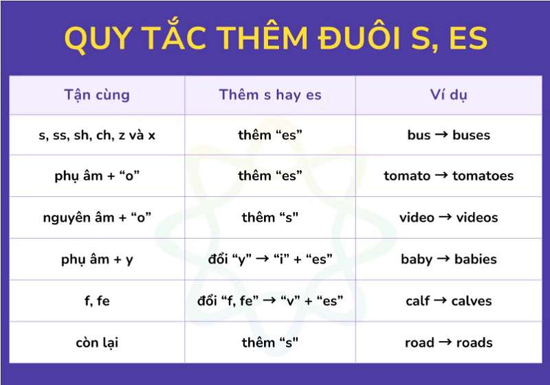 Các Quy Tắc Thêm Đuôi S/ES