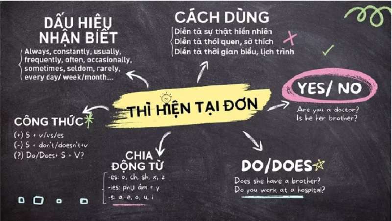 Sơ Đồ Tư Duy Hiện Tại Đơn Là Gì?