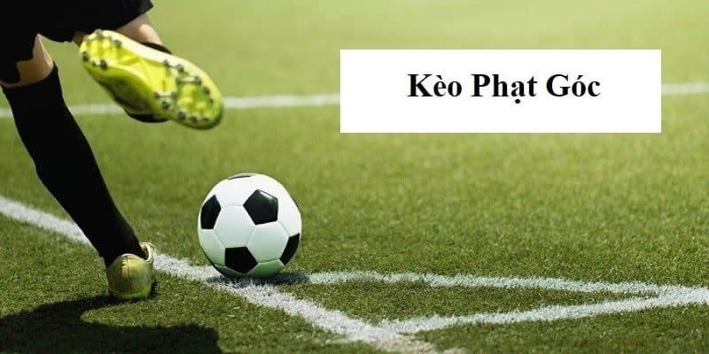 Cách soi kèo phạt góc hiệu quả dựa trên lối chơi đội bóng