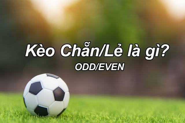 Kèo chẵn lẻ là gì? Cách hiểu nhanh cho người mới 